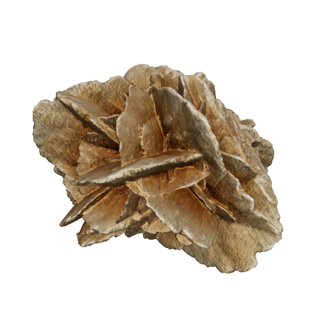 DESERT ROSE